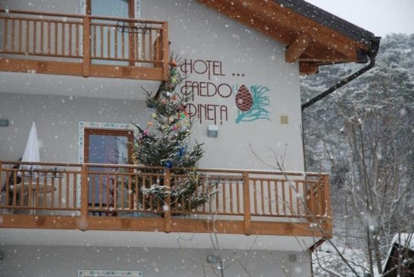 Hotel Faedo Pineta Værelse billede
